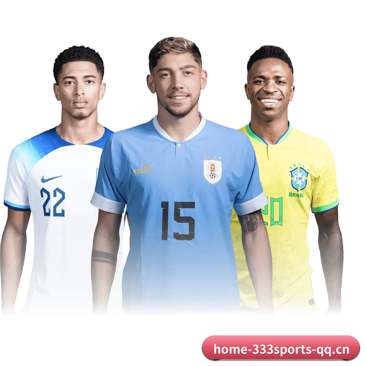333体育 APP - 333sports